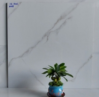 Gạch Trắng vân Đen 60x60 Lát Nền