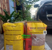 Keo Home C2 Cao Cấp Siêu Chống Thấm Giá Rẻ