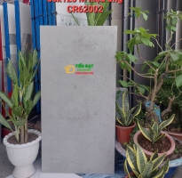 Kho Gạch Ấn Độ 60x120 Lát Nền Đá Mờ Cao Cấp HCM