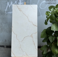 Kho Gạch Ấn Độ 60x120 Tại Mỹ Tho Tiền Giang