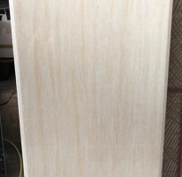 Kho Gạch an lạc 40x80 thanh long