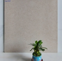 Kho Gạch Cấp Cấp 60x60 Tại 13 Tỉnh Miền Tây