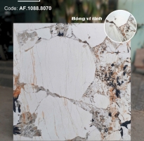 Kho Gạch Lát Nền Apodio 80x80 Tại Bà Điểm Hóc Môn Quận 12