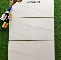 Kho Gạch Ốp Lát 40x80 Tại Tân Phú 