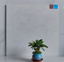Kho Gạch Ốp Lát 60x60 Giá Rẻ HCM