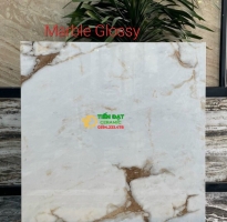 Kho Gạch Ốp Lát Ấn Độ 100x100 Bóng Kiếng Giá Rẻ 