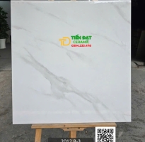Kho Gạch Ốp Lát Ấn Độ 80x80 Trắng Vân Xám Bóng Kiếng