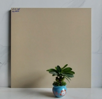 Kho Gạch 60x60 Vân Vàng Giá Rẻ HCM