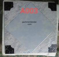 Kho Gạch Vĩnh Long 30x30 Nhũ Vàng 