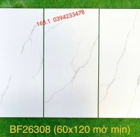 Nhà Phân Phối Gạch 60x120 Trung Quốc