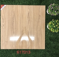 Nhà Phân Phối Gạch 60x60 Cao Cấp prime