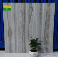 Nhà Phân Phối Gạch 60x60 TTC Giả Gỗ 