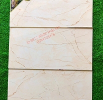 Nhà Phân Phối Gạch Ốp Nhũ Vàng 40x80 TQ