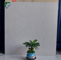 Nhà Phân Phối Gạch Trung Đô 60x60 Đá Mờ