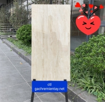 Nơi Phân Phối Gạch 60x120 Catalan 