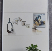 Nơi Phân Phối Gạch Ốp Lát 30x60 Mỹ Tho