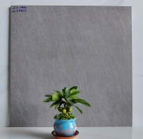 Nơi Phân Phối Gạch Ốp Lát 60x60 Đá Mờ