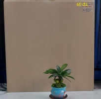 Kho Gạch Đá Mờ 60x60 Thanh Thanh 