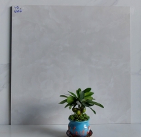 Gạch Ốp Lát 60x60 Roayl Mẫu Mới 