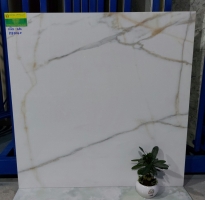 Thế Giới Gạch Nhập Khẩu Ấn Độ 80x80