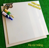Tìm Nơi Phân Phối Gạch 100x100 HCM