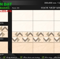Tổng Đại Lý Gạch Ấn Độ 30x60 Ốp Tường Giá Rẻ HCM