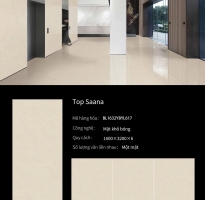 Tổng Kho Đá Bóng TQ 160x320 Khổ Lớn Lát Nền Vân Vàng Kem