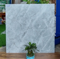 Tổng Kho Gạch 60x60 Vân Xám Giả Đá