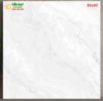 Tổng Kho Gạch Catalan 80x80 Tại Nguyễn Phú HCM