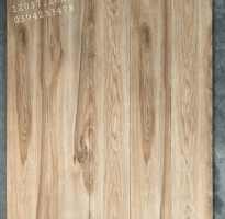 Tổng Kho Gạch Giả 20x120 TQ Nguyễn Cửu Phú