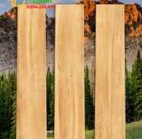 Tổng Kho Gạch Giả Gỗ Ấn Độ 20x100 Ốp Lát Tại HCM