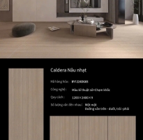 Tổng Kho Gạch Khổ Lớn TQ 120x240 Nâu Vân Gỗ Nhạt Tại Miền Nam