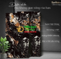 Tổng Kho Gạch Khổ Lớn Vincera 60x120 Ốp Mặt Tiền 