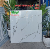 Tổng Kho Gạch Lát Nền 80x80 Trắng Vân Nhũ Vàng Mới Đẹp