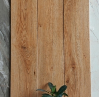 Tổng Kho Gạch MALAYSIA Chuyên Phân Phối