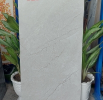 Tổng Kho Gạch Nhập Khẩu Ấn Độ 60x120 Cao Cấp 