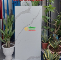 Tổng Kho Gạch Nhập Khẩu Ấn Độ 60x120 Đá Mờ Trắng Vân
