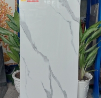 Tổng Kho Gạch Nhập Khẩu Ấn Độ 60x120 Tại Phú Quốc 