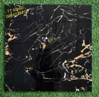 Tổng Kho Gạch Ốp Lát Catalan 60x60