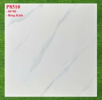 Tổng Kho Gạch Ốp Lát Pancera Tại Bình Chánh Giá Rẻ