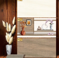 Tổng Kho Gạch Ốp Lát Trung  Đô 30x60 Uy Tín