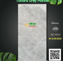 Tổng Kho Gạch Ốp Tường 80x160 Cao Cấp Apodio