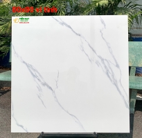 Tổng Kho Gạch TASA 80x80 Cao Cấp HCM