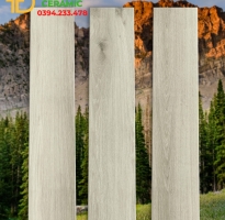 Top 298 Mẫu Gạch Vân Gỗ 20x100 Bán Chạy Nhất Hiện Nay