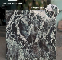 Top 398 Mẫu Gạch Apodio 80x80 Bóng Kiếng Vi Tinh Giá Rẻ