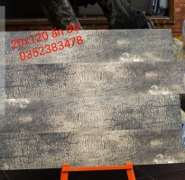 Kho Gạch Nhập Khẩu Ấn Độ 20x120 Tại Tân Phú