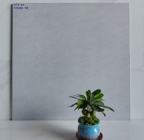 Kho Gạch Ốp Lát 60x60 Thanh Phú Bến Lức