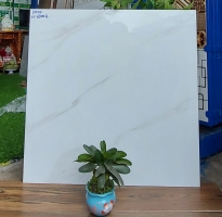 Nhà Phân Phối Gạch 60x60 Ý Mỹ Giá Rẻ