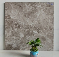 Gạch Ốp Lát Đá Mờ 60x60 Nguyễn hữu Trí