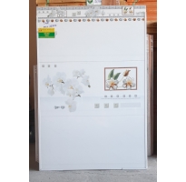 Gạch ốp lát cao cẤp 240x60 rẻ nhất củ chi